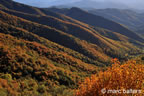 cevennes, automne, 2025,